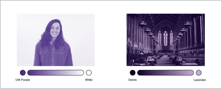 Stylized Image Guideline